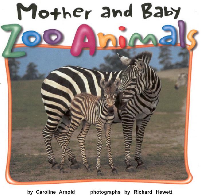 Title details for Mother and Baby Zoo Animals by Caroline Arnold - Available
